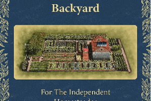 Self Sufficient Backyard